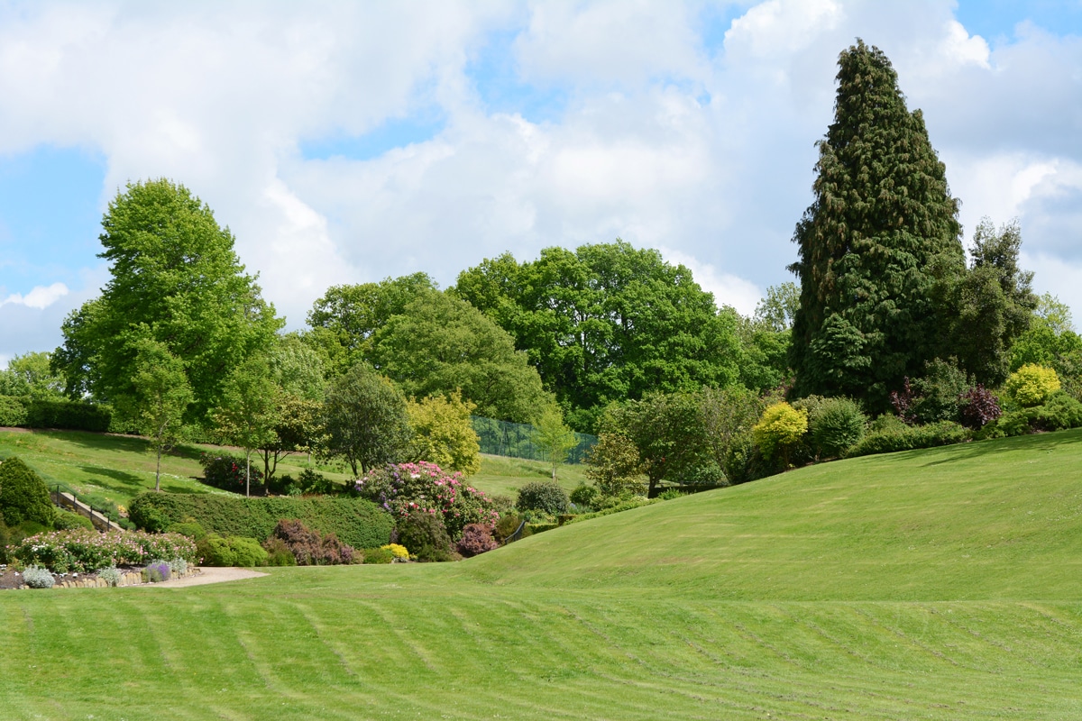 Calverley Grounds