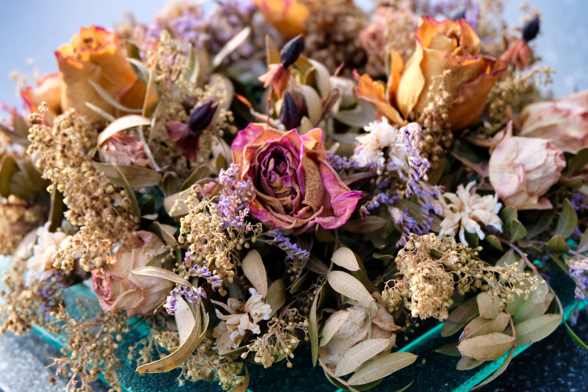 Dried flowers